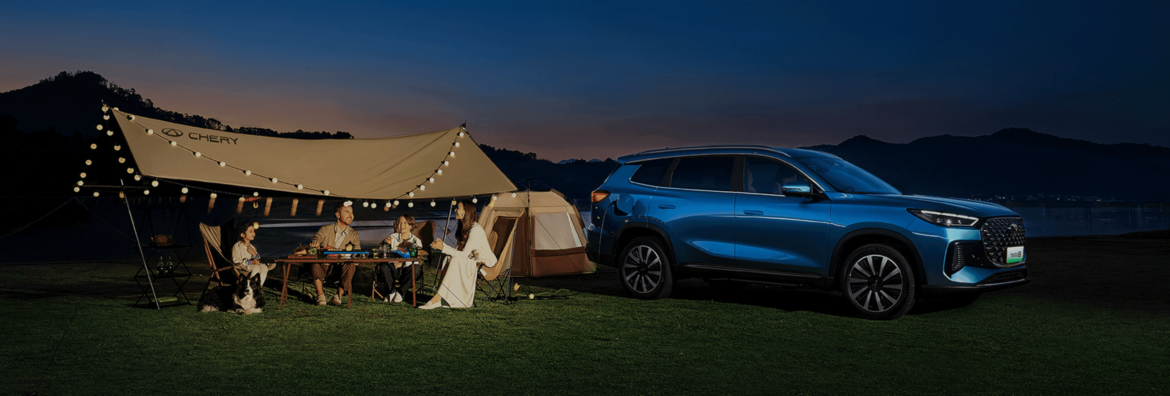 Need Servicing and Maintenance?